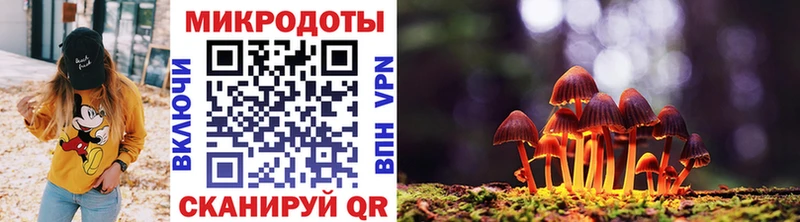 Купить закладки  Вольск  Галлюциногенные грибы прущие грибы 